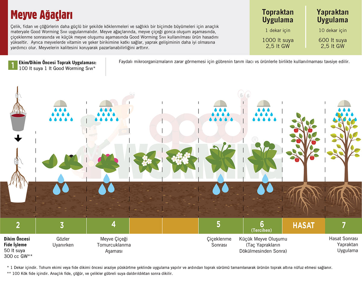 Sivi Solucan Gubresi