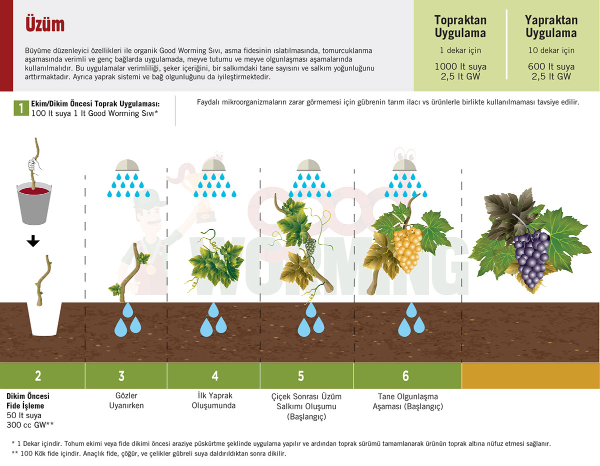Sivi Solucan Gubresi