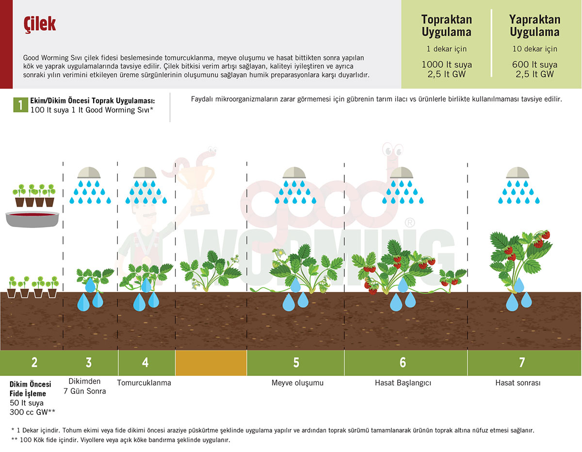 Sivi Solucan Gubresi