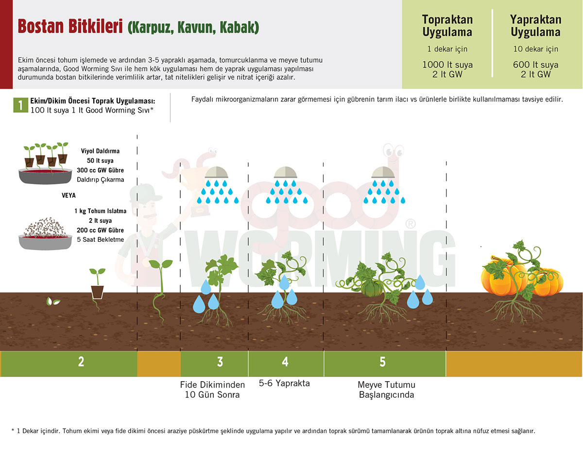 Sivi Solucan Gubresi