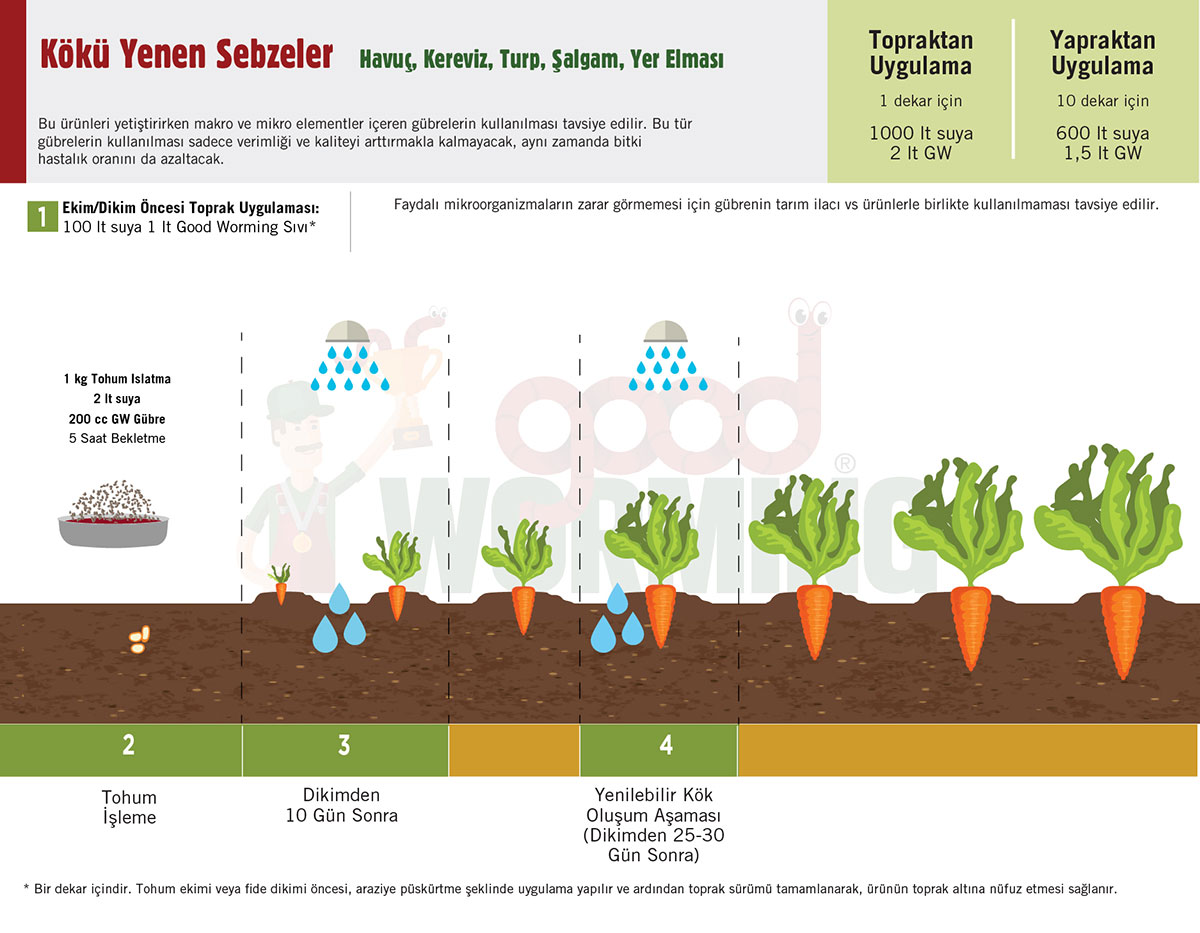 Sivi Solucan Gubresi