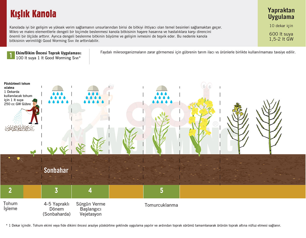 Sivi Solucan Gubresi