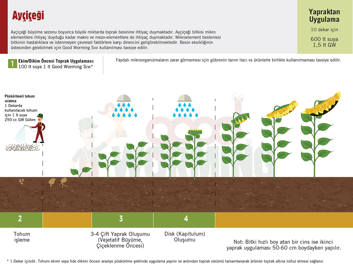 Sivi Solucan Gubresi