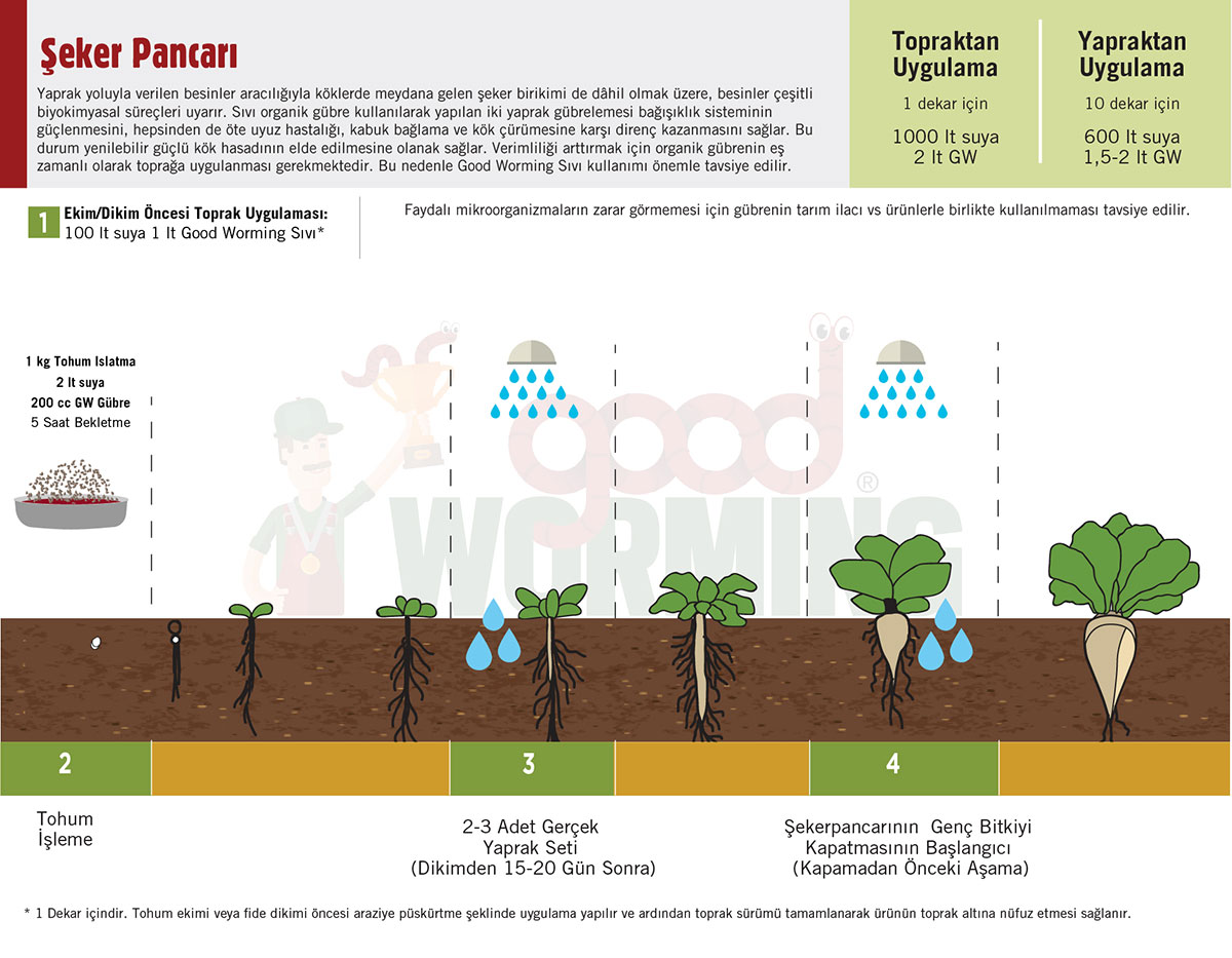 Sivi Solucan Gubresi