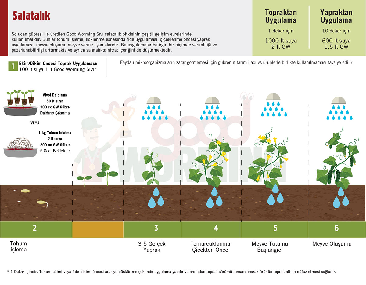 Salatalık tariminda sivi solucan gubresi