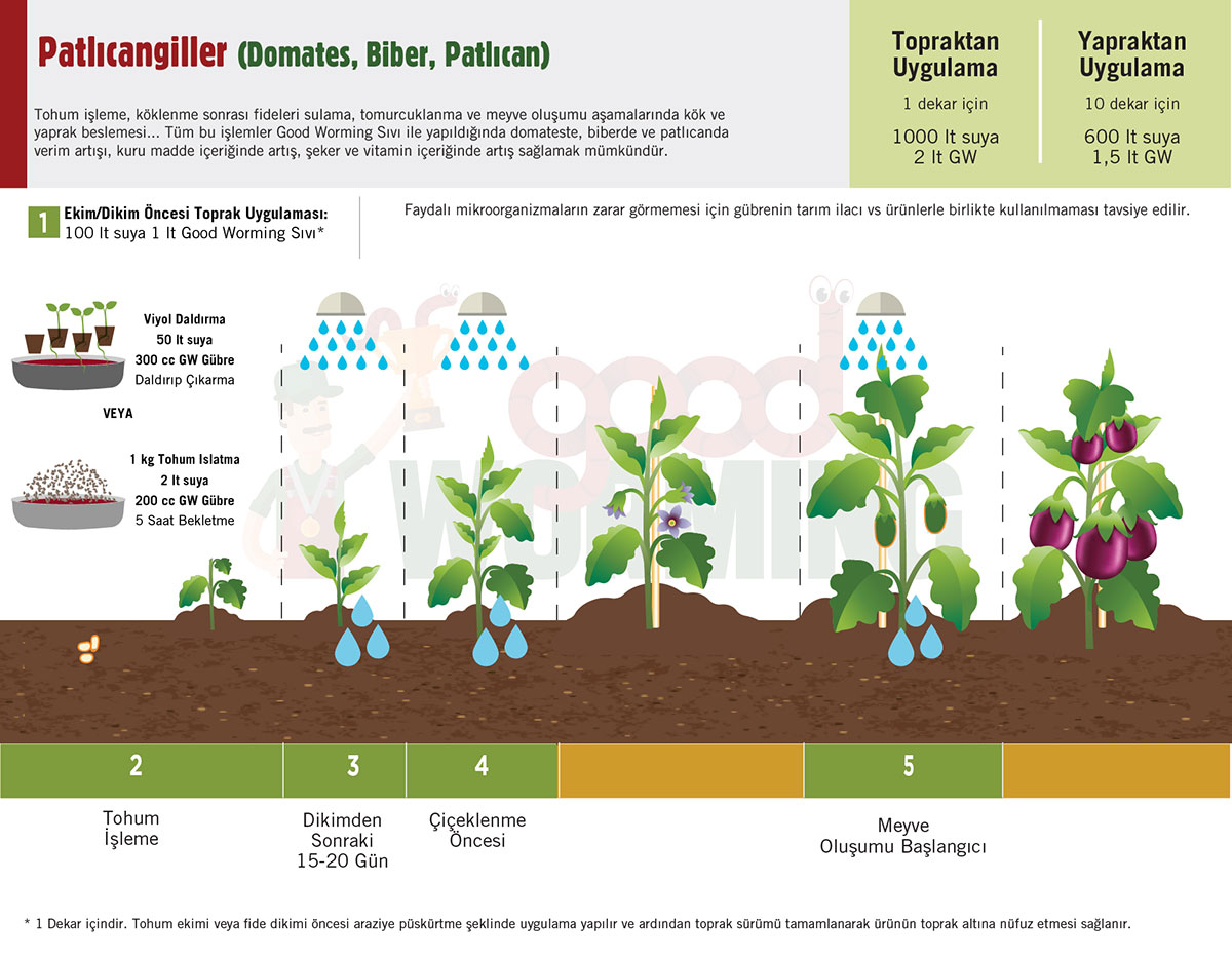 Patlican, domates, biber tariminda sivi solucan gubresi