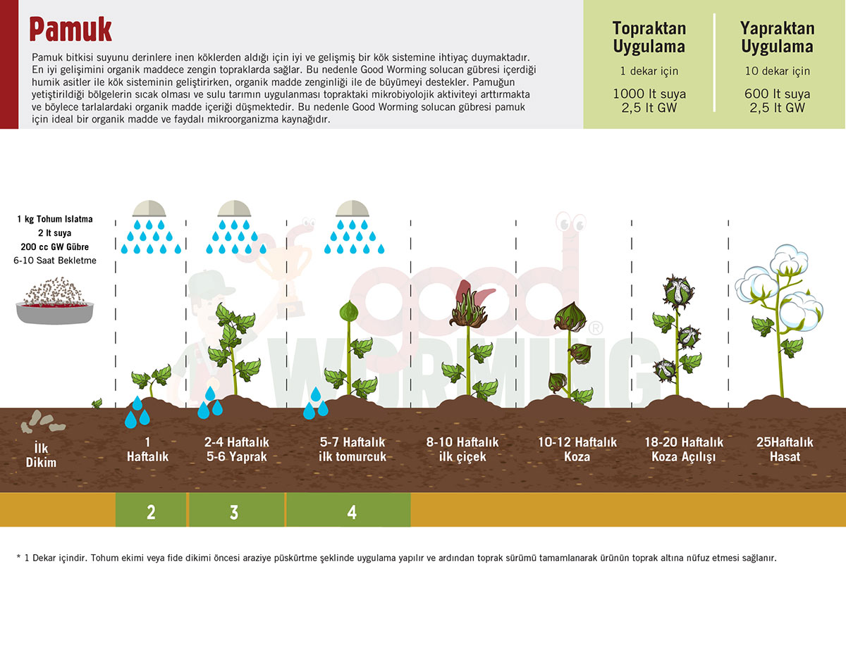 Pamuk tariminda sivi solucan gubresi